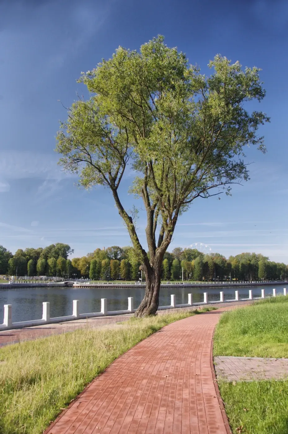 IMGP3086