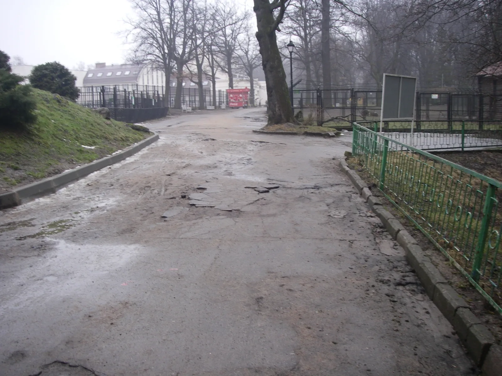IMGP1473