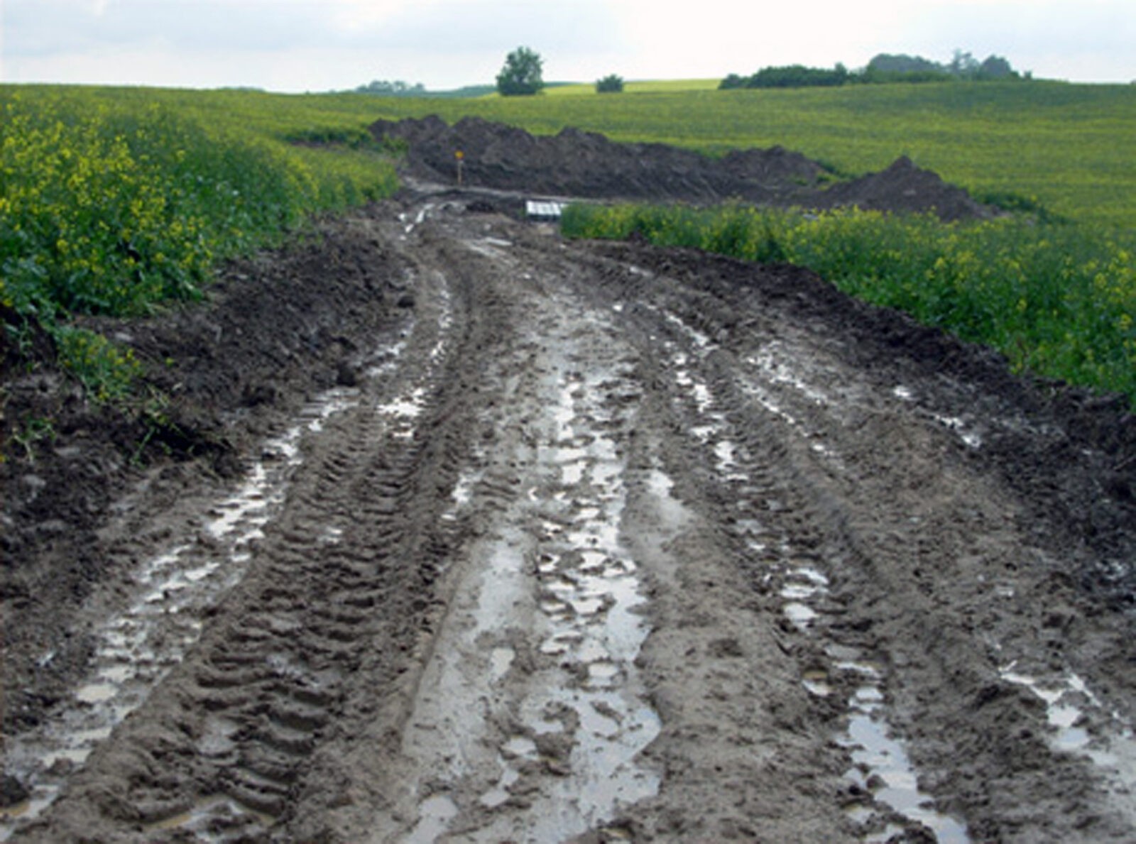 Дорога до производства работ