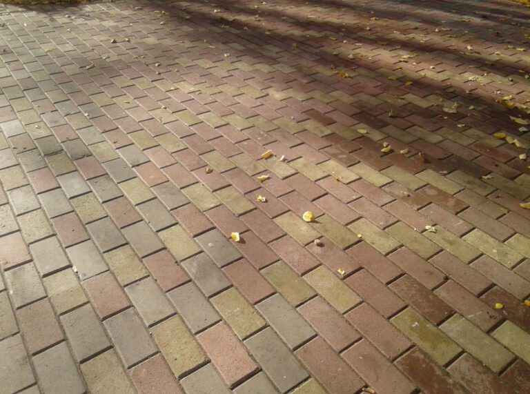 Центральный парк г. Гурьевск Калининградская область